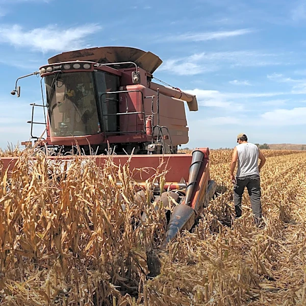 Senator John Thune Advocates for South Dakota Farmers and Ranchers, Pushes for Farm Bill Passage