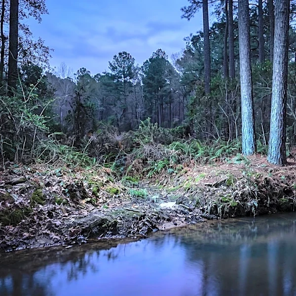 Montgomery Police Investigate Discovery of Human Remains Near Catoma Creek