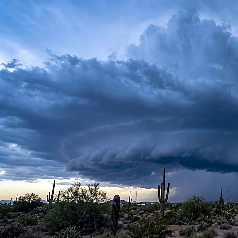 Monsoon Storms Bring Severe Weather and Power Outages to Phoenix Metropolitan Area