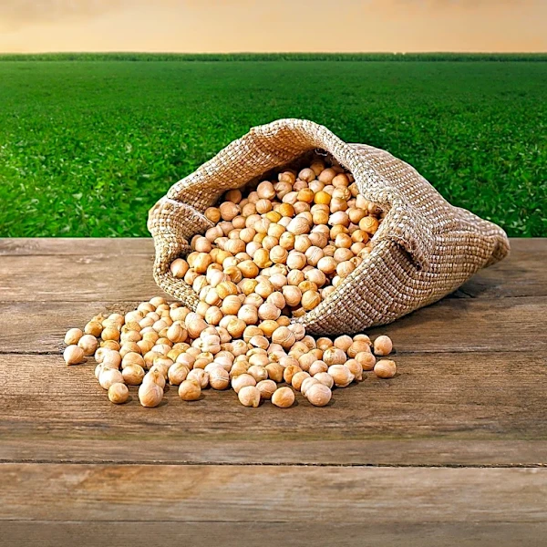 Bhutan Hosts Inaugural 'Conscious Food Summit' to Address Global Food System Challenges