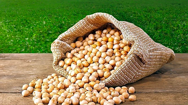 Bhutan Hosts Inaugural 'Conscious Food Summit' to Address Global Food System Challenges