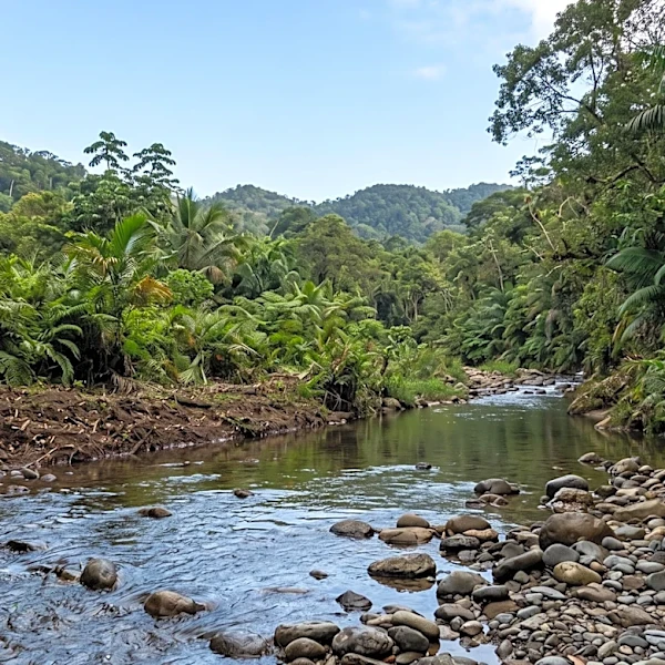 Study Reveals Distinct Transmission Dynamics of Leptospira Species in Puerto Rico