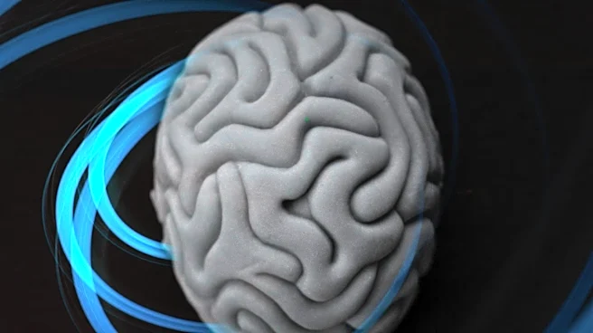 FDA Clears NeuroQuant PET Software for Automated Alzheimer's Amyloid Quantification
