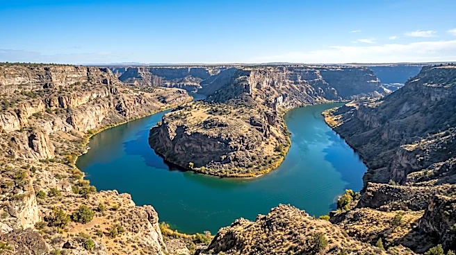 Idaho Continues Eradication Efforts as Quagga Mussels Detected in Snake River, Numbers Down