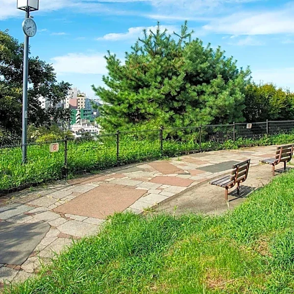 Pawtucket Remembers Thomas "Pops" Rogers for Community Beautification Efforts