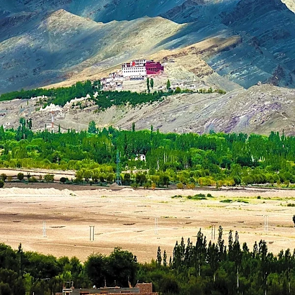 China Imposes Silence in Tibet Following Himalayan Disaster, Raising Censorship Concerns