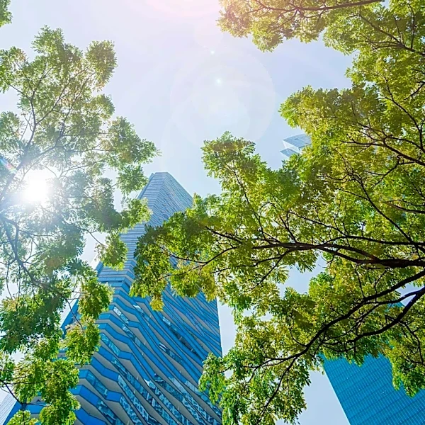 Research Highlights Mental Health Benefits of Urban Green and Blue Spaces Amidst Increasing Urbanization
