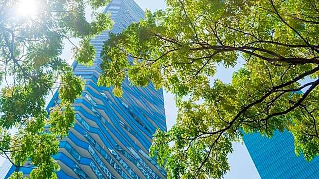 Research Highlights Mental Health Benefits of Urban Green and Blue Spaces Amidst Increasing Urbanization