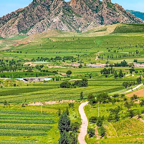 Colorado Agritourism Sector Sees Growth with Rise of 'Voluntourism'