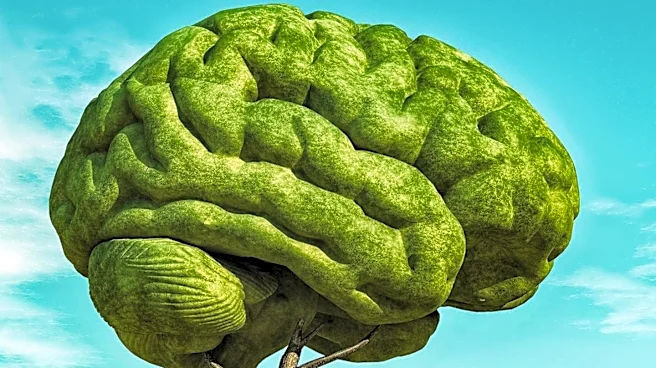 Department of Defense Lacks Staff and Technology for Troop Brain Health Checks, Audit Finds