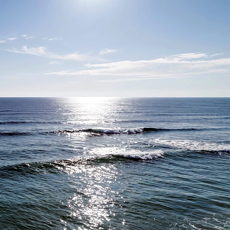 Researchers Tag Sharks Off Long Island Amid Rising Sightings and Warming Waters