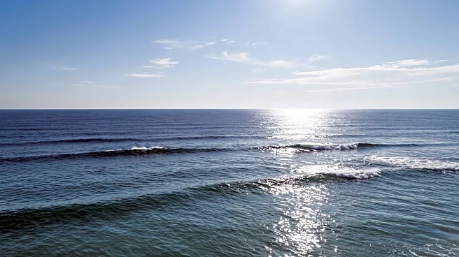 Researchers Tag Sharks Off Long Island Amid Rising Sightings and Warming Waters