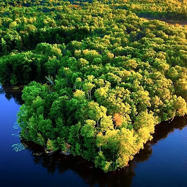 New Jersey Forest Fire Service Manages State's Forests and Open Spaces