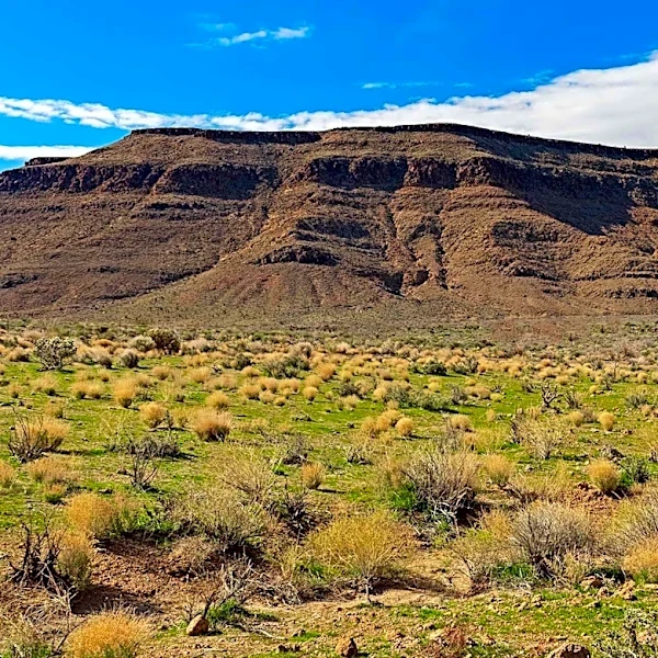 Utah's Raft River Mountains Reveal Ancient Tectonic Strain in Stretched-Pebble Conglomerate