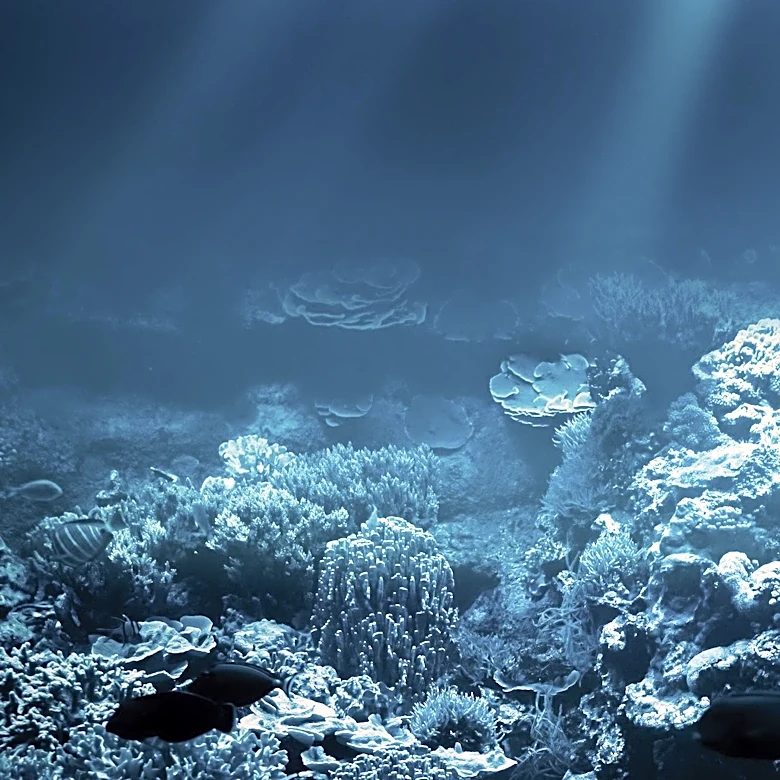 Namibia Greenlights Controversial Seabed Phosphate Dredging Project Amid Environmental Concerns