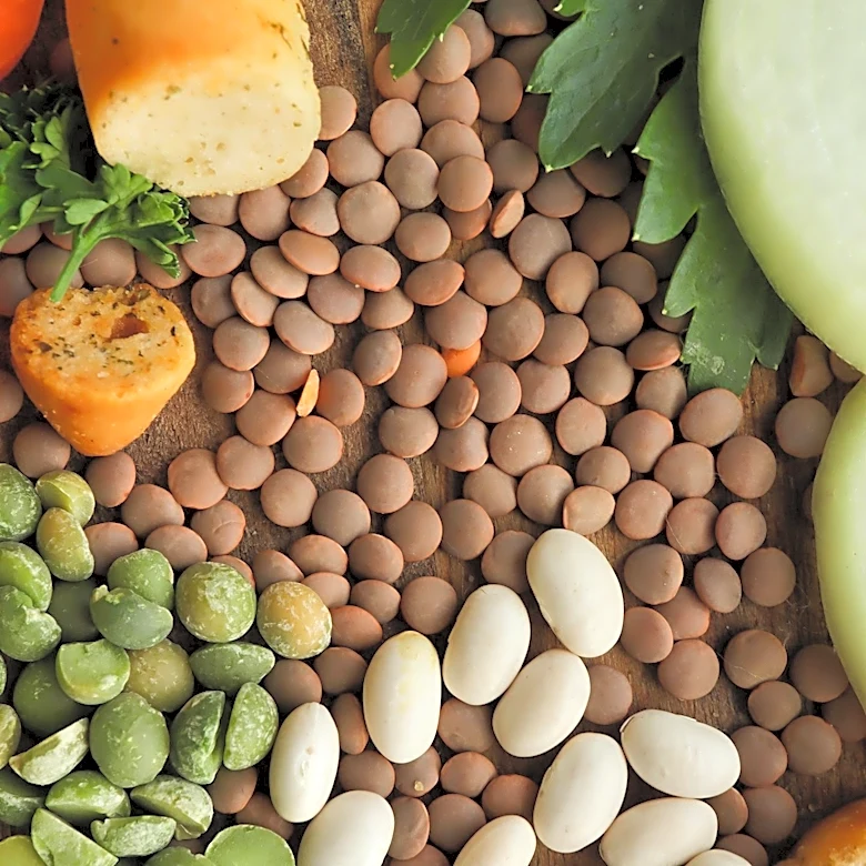 ETH Zurich Researchers Develop 'Freeze-Structuring' Method for Legume-Based Meat Alternatives