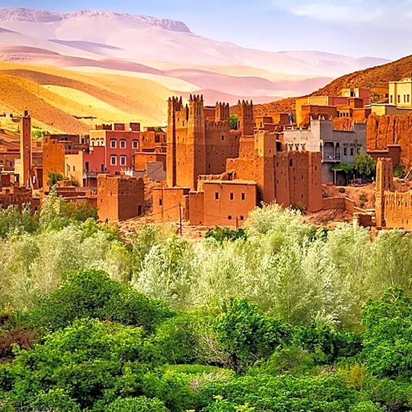 U.S. Recognition of Moroccan Sovereignty Over Western Sahara Criticized as Colonial Legacy