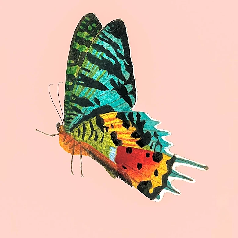 The Moth Expands Global Storytelling Initiatives and Seeks Senior Manager