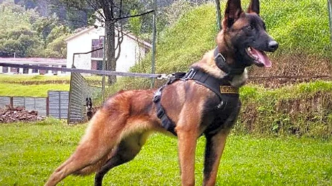NAS Meridian Hosts Joint Military Working Dog Homemade Explosive Training with FBI and Local Agencies