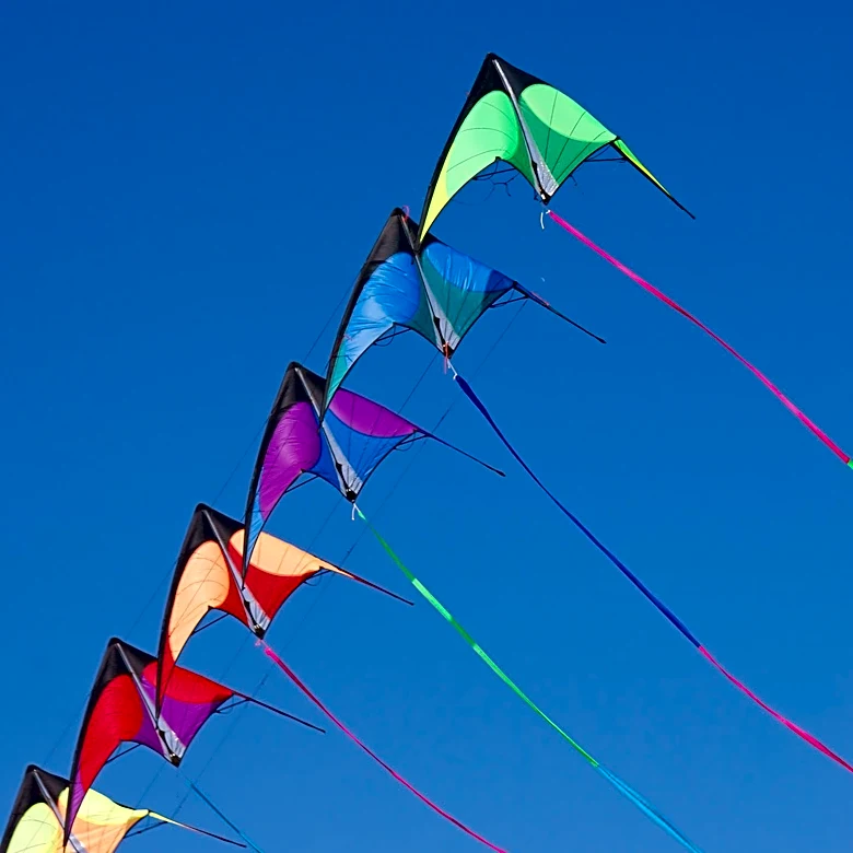 Butte Observes International Overdose Awareness Day with Purple Kite Flying Event