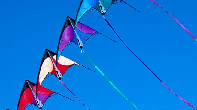 Butte Observes International Overdose Awareness Day with Purple Kite Flying Event