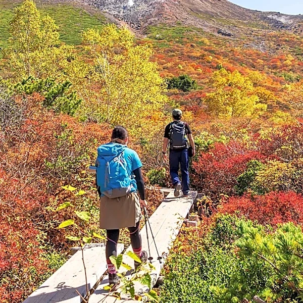 National Parks Offer Accessible Hikes for Fall Views, Prioritizing Scenic Drives and Boardwalks