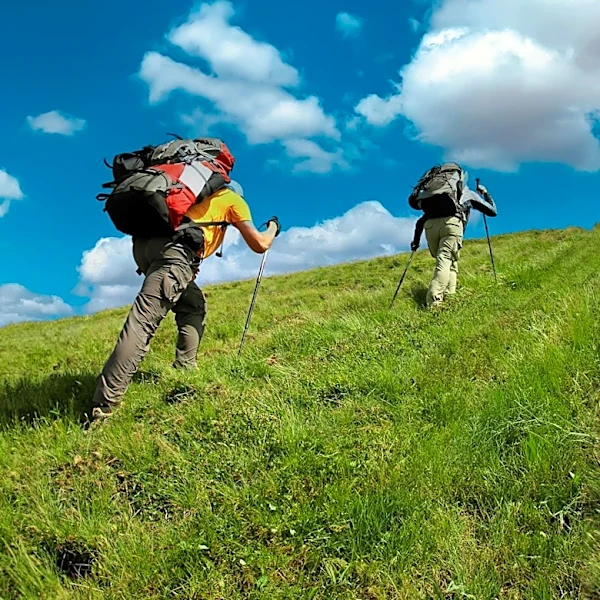 Hikers Face Significant Risks in U.S. State Parks Due to Remote Conditions and Navigation Challenges