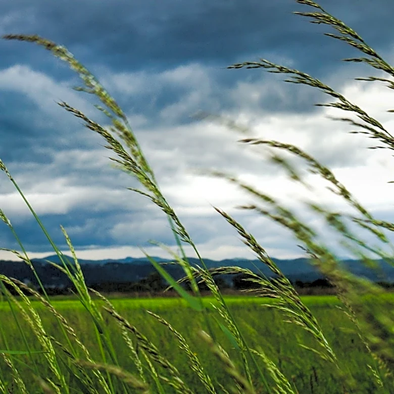 Bozeman Area to Experience Warm, Windy Weather with Red Flag Warnings