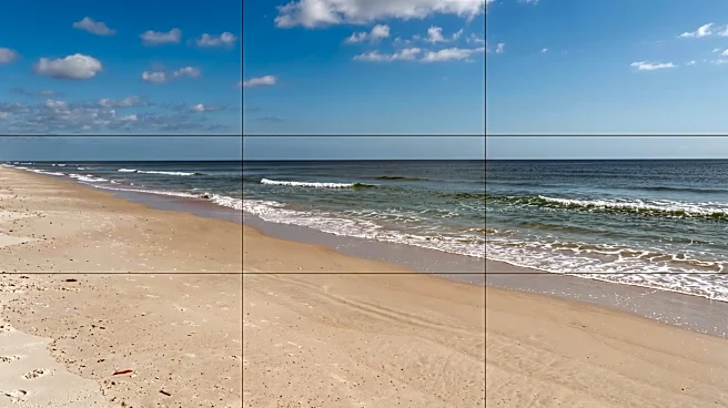 Surfer Reports Shark Bite at New Smyrna Beach, Declines Medical Treatment