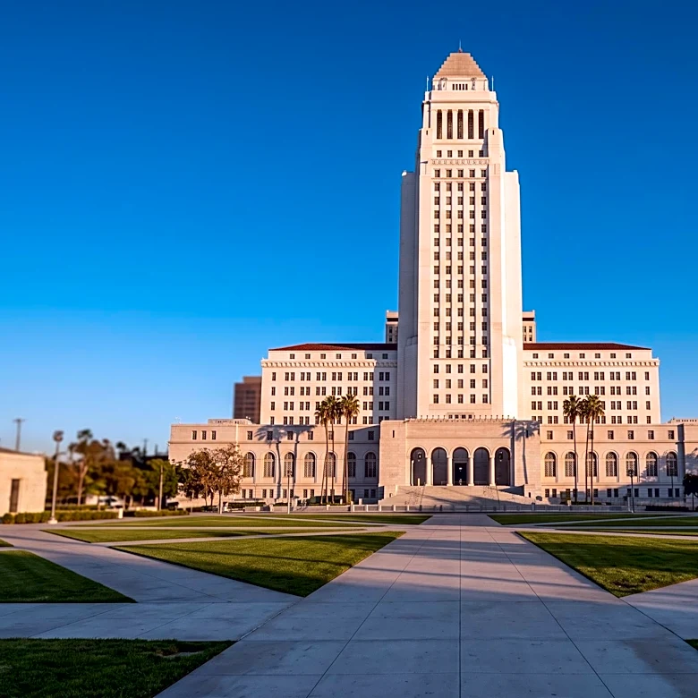 Democratic Socialists of America Endorse Nithya Raman in Los Angeles Mayoral Race