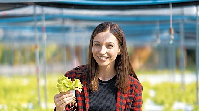 Lima Senior High School Students Combat Food Insecurity with Hydroponic Towers