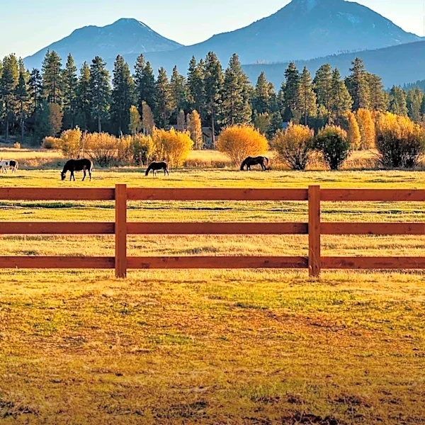 Warm Springs Ranchers Seek Aid After Wildfires Devastate Grazing Lands for Horses and Cattle