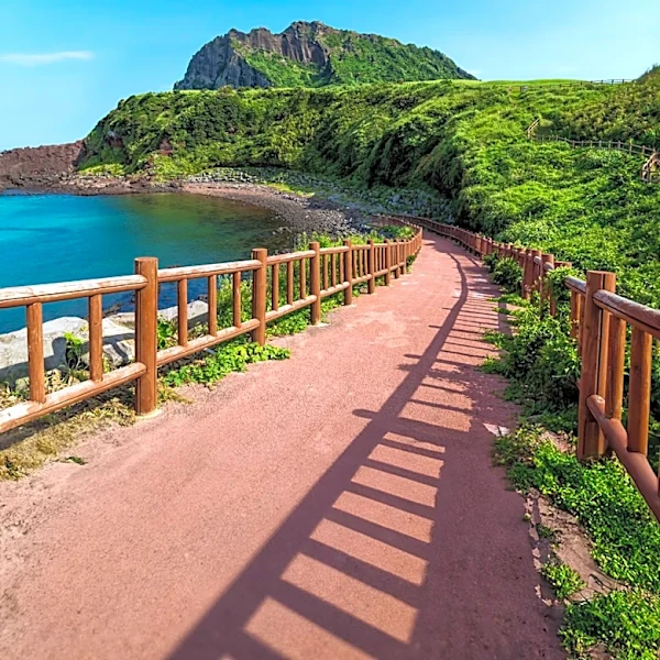 Ulsan's Taehwa River Earns Fifth Consecutive Eco-Tourism Zone Designation