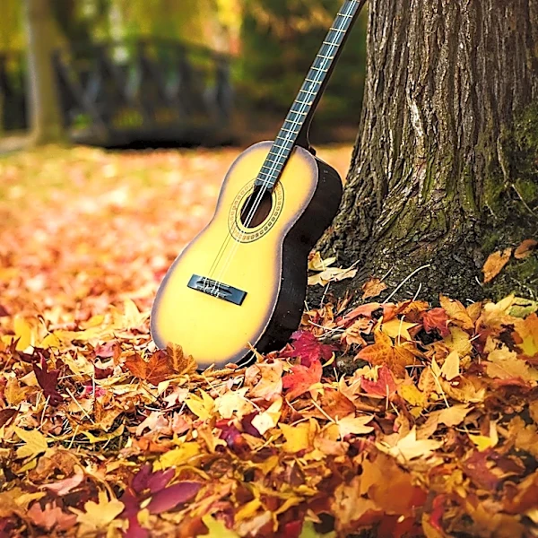Music Potlucks Organization Fights Hunger in Oak Park and River Forest Through Folk Music Events