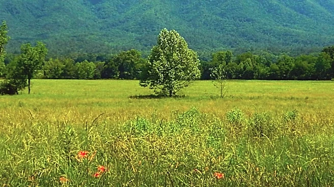 George Masa's Legacy Continues to Shape Great Smoky Mountains National Park Nearly a Century Later
