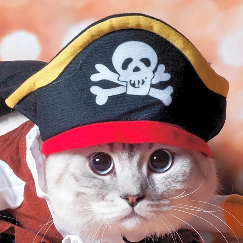 Gentry Police and TikTok Investigate Viral 'Cat in the Hat' Threat Hoax Targeting Schools