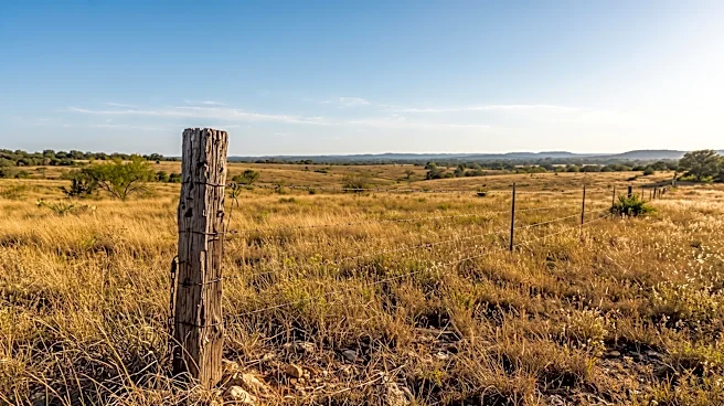 Kendall County Sheriff's Office Clarifies Gunshot Reports Near Boerne Elementary as Dove Hunting Activity