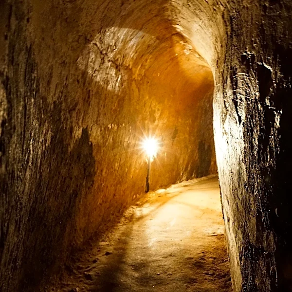 Mexican Smuggler Pleads Guilty in U.S. Border Tunnel Operation