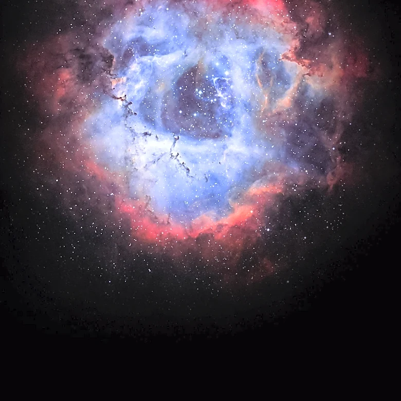 Scientific Consensus: Most Elements in Human Body Forged by Stars, Hydrogen Predates Stellar Formation