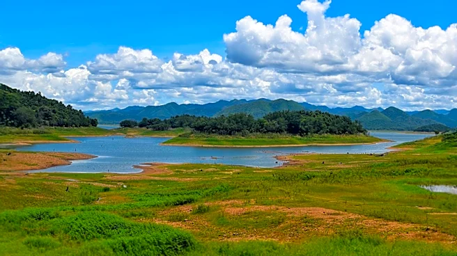 Korean Demilitarized Zone Becomes Unexpected Wildlife Haven Amidst Political Division