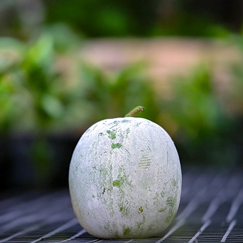 Ancient DNA Reveals Melon Characteristics in Song Dynasty China