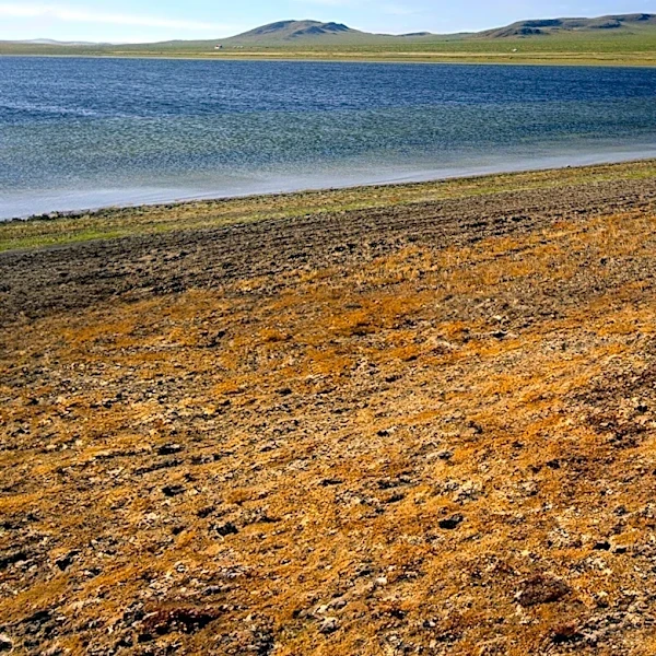 Receding Lake McConaughy Water Levels Uncover Historic Nebraska Town of Old Lemoyne