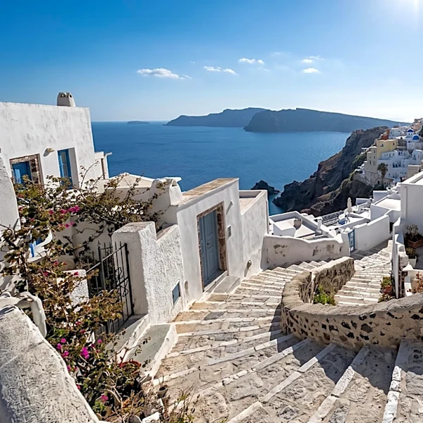 PETA Activists Attacked in Santorini During Protest Against Donkey and Mule Use for Tourist Transport
