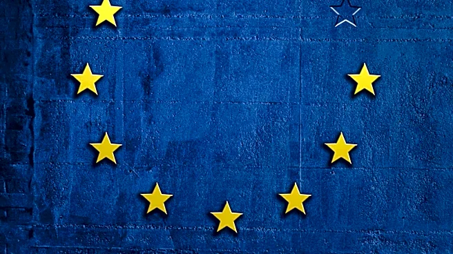 European Union Rejects Forced Displacement of Palestinians from Gaza, Opposes Demographic Changes