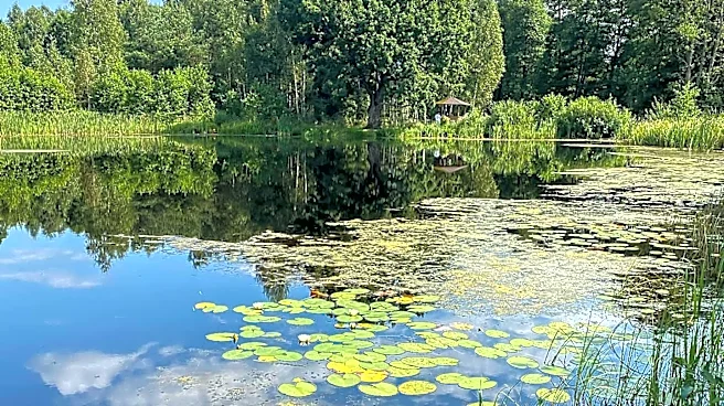 Hilda J. Young Conservation Area Offers Free Nature Escape Near St. Louis