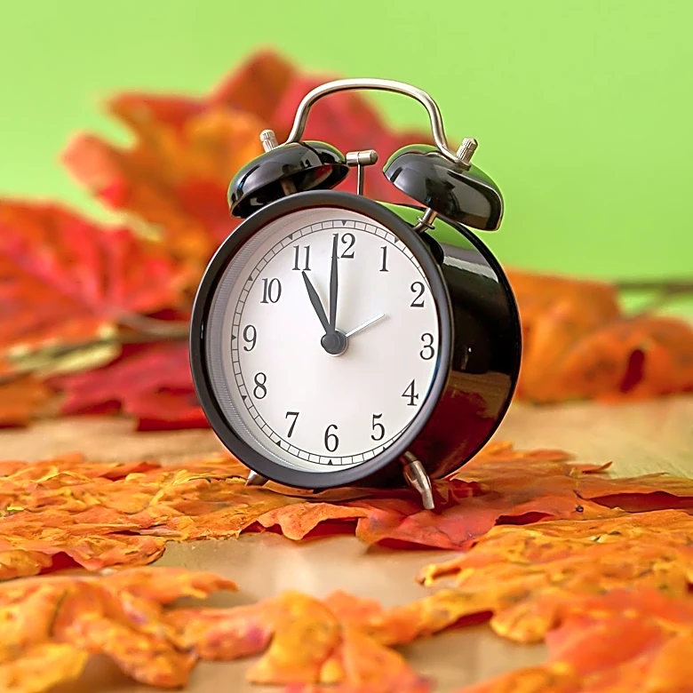 U.S. Time Zones and Daylight Saving Time: A Complex System Influencing Daily Life and Economy