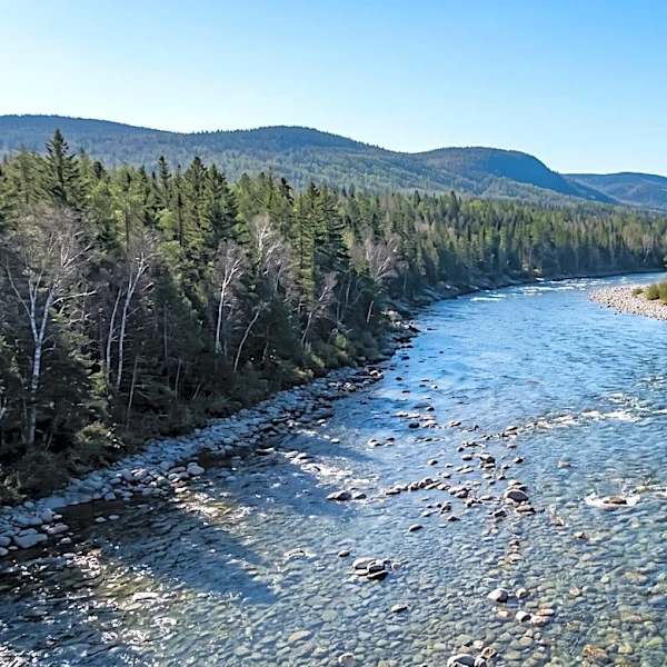 Four Major Maine Rivers Flow North Due to Geological Slopes