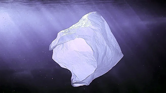 Global Plastics Treaty Negotiations Face Data Gaps, Hindering Progress on Pollution Control