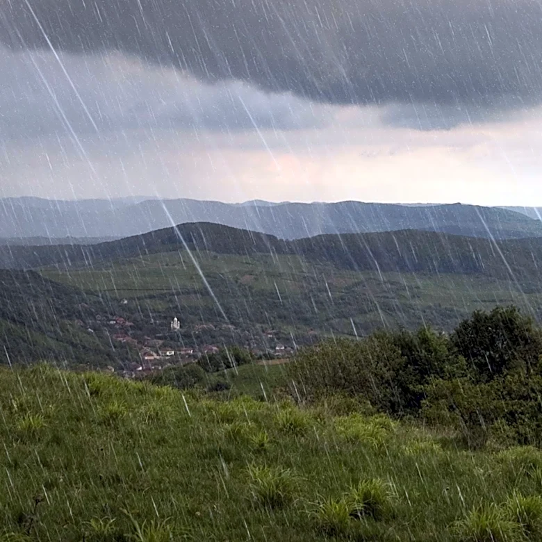 Monsoon Activity Intensifies in Madhya Pradesh, Heavy Rain Warnings Issued for 13 Districts