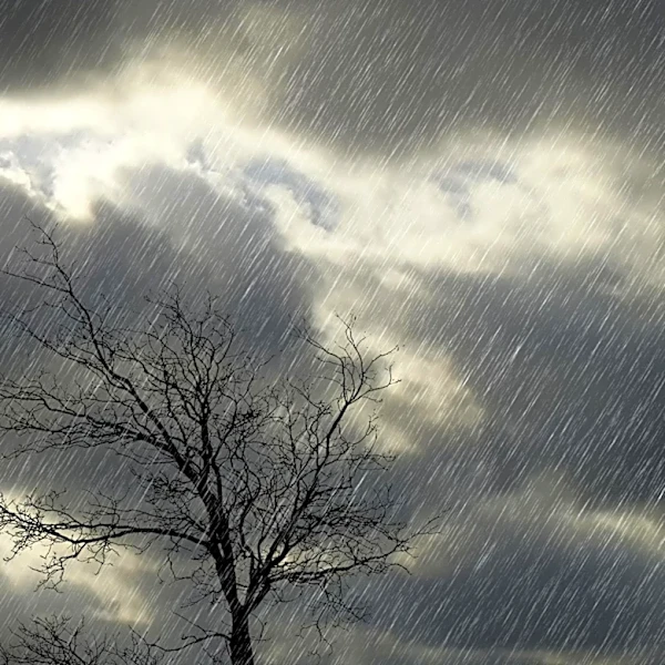 Monsoon Winds Bring Widespread Rainfall and Storms to Nepal, Heavy Rains Expected in Hilly Regions